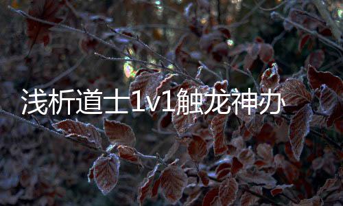 道士龙神办法1触浅析